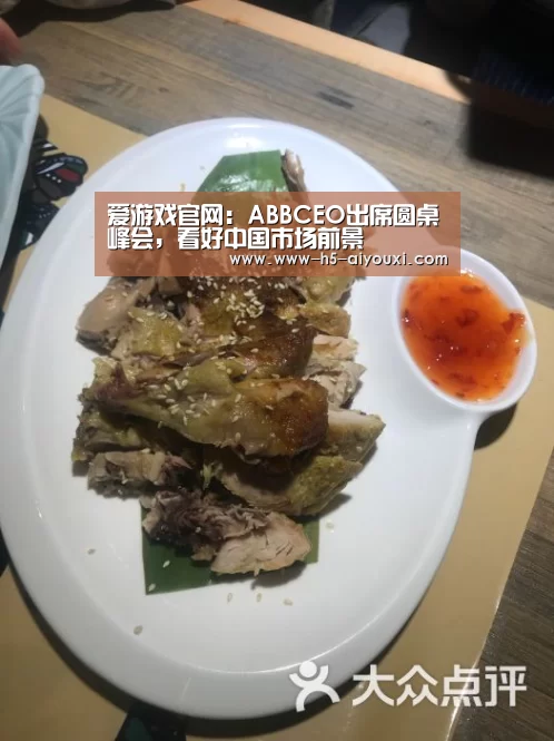爱游戏官网:ABBCEO出席圆桌峰会,看好中国市场前景(图2) 爱游戏app