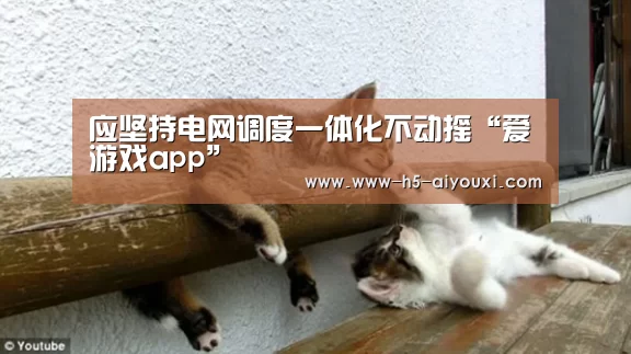 应坚持电网调度一体化不动摇“爱游戏app”(图4) 爱游戏