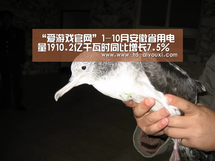 “爱游戏官网”1-10月安徽省用电量1910.2亿千瓦时同比增长7.5%(图4) 爱游戏官网