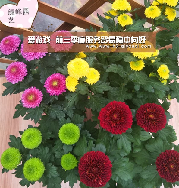 爱游戏-前三季度服务贸易稳中向好(图2) 爱游戏app