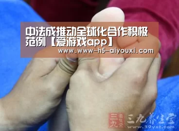 中法成推动全球化合作积极范例【爱游戏app】(图2) 爱游戏官网