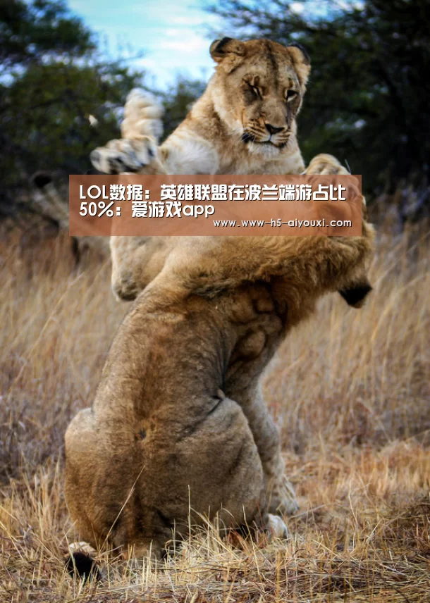 LOL数据:英雄联盟在波兰端游占比50%:爱游戏app(图1) 爱游戏