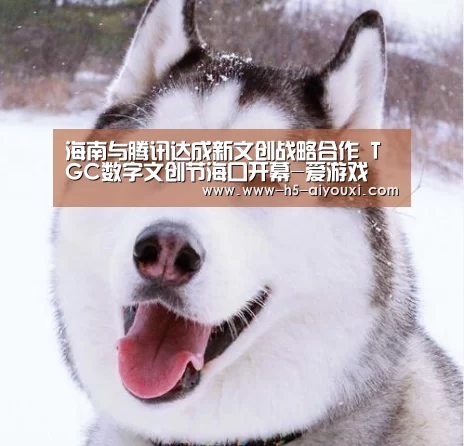 爱游戏官网