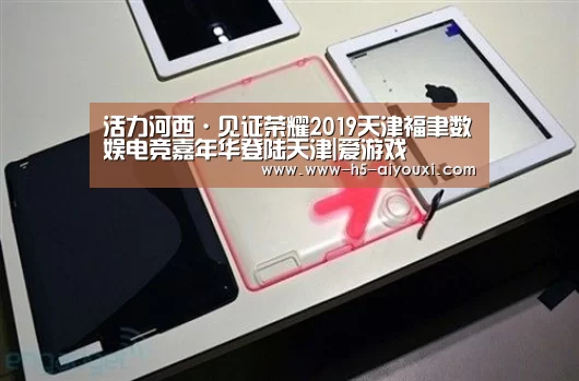活力河西·见证荣耀2019天津福聿数娱电竞嘉年华登陆天津|爱游戏(图2) 爱游戏app