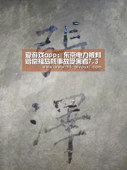 爱游戏app:东京电力被判赔偿福岛核事故受害者7.335亿日元(图1) 爱游戏app