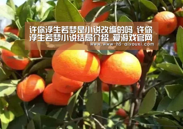 许你浮生若梦是小说改编的吗 许你浮生若梦小说结局介绍_爱游戏官网(图1) 爱游戏官网