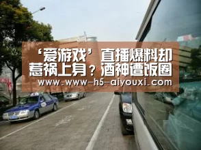 爱游戏app