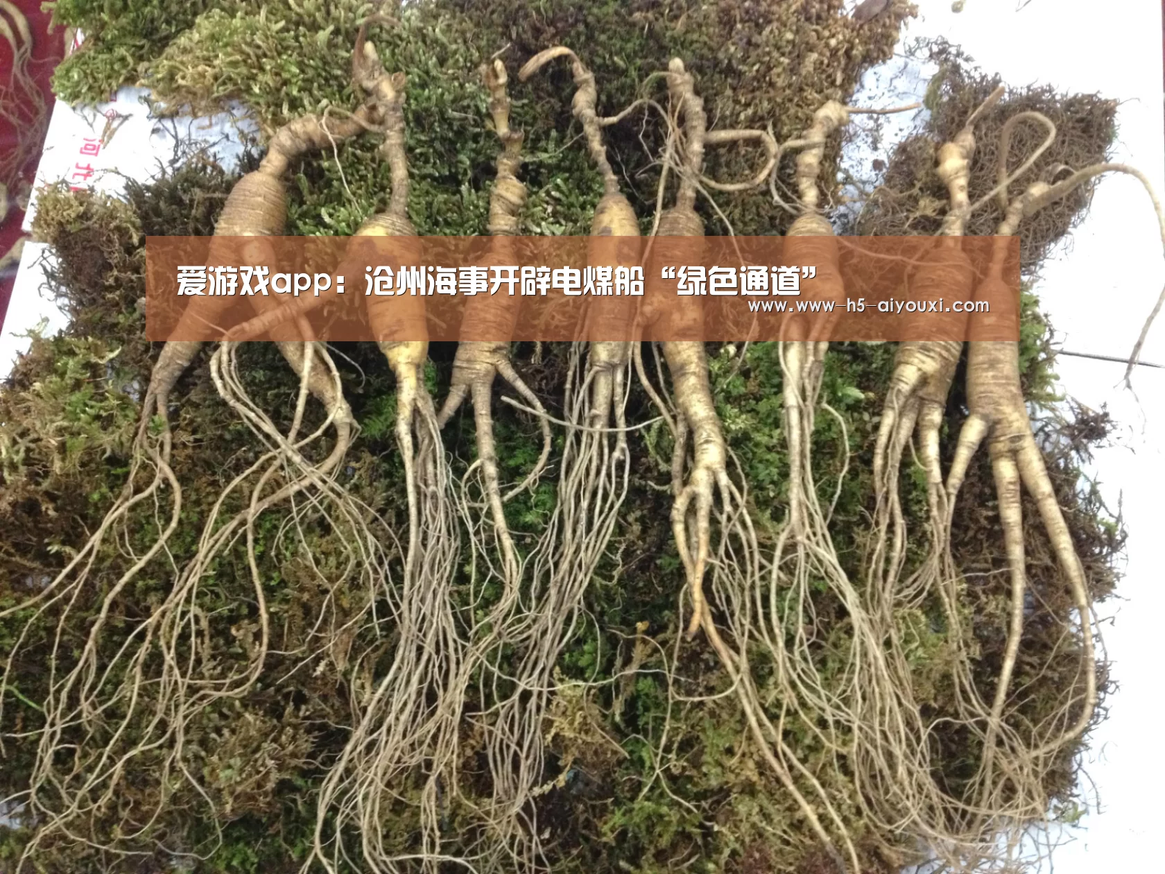 爱游戏