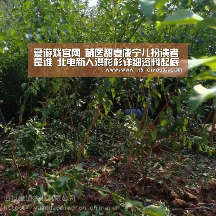 爱游戏官网