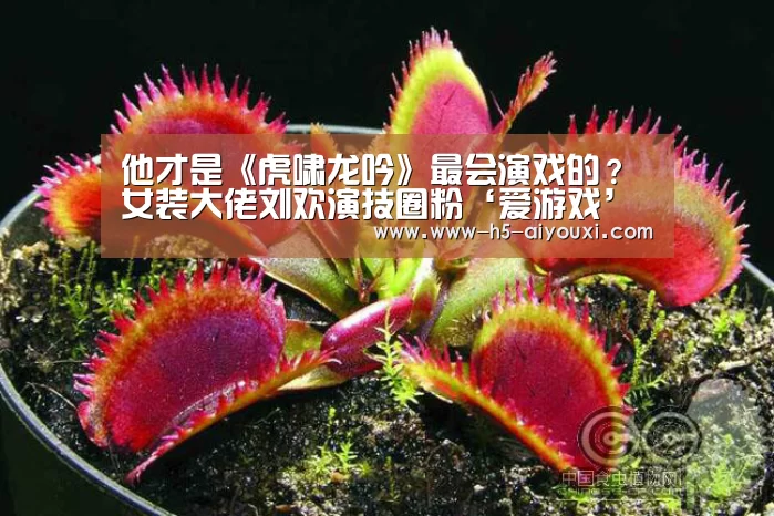 爱游戏app